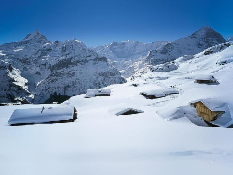 Chalet Aphrodite West Apartment Grindelwald Exterior photo